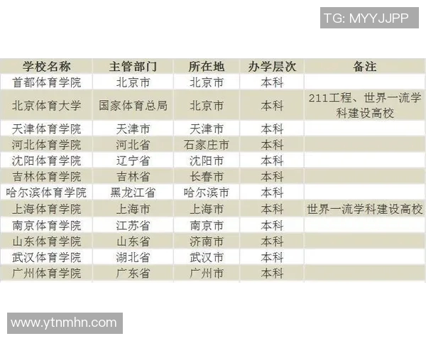 重庆极限运动队以96分领跑世界杯积分榜展现强劲实力