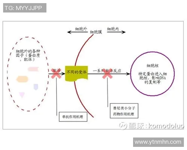 重庆足球队的战术意识与团队协作探讨及其对未来发展的影响分析