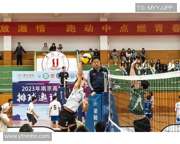 重庆排球队团队协作的创新与变革引发热议与关注