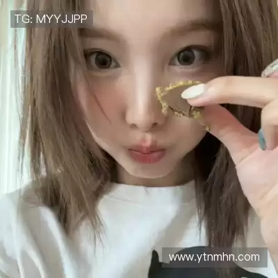 沈廷衡